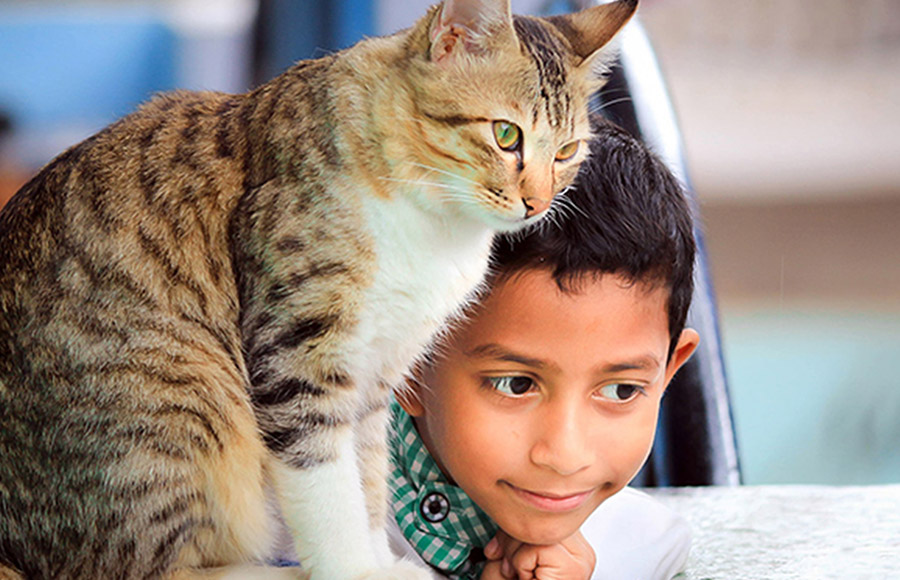 OCAA-cat-with-boy
