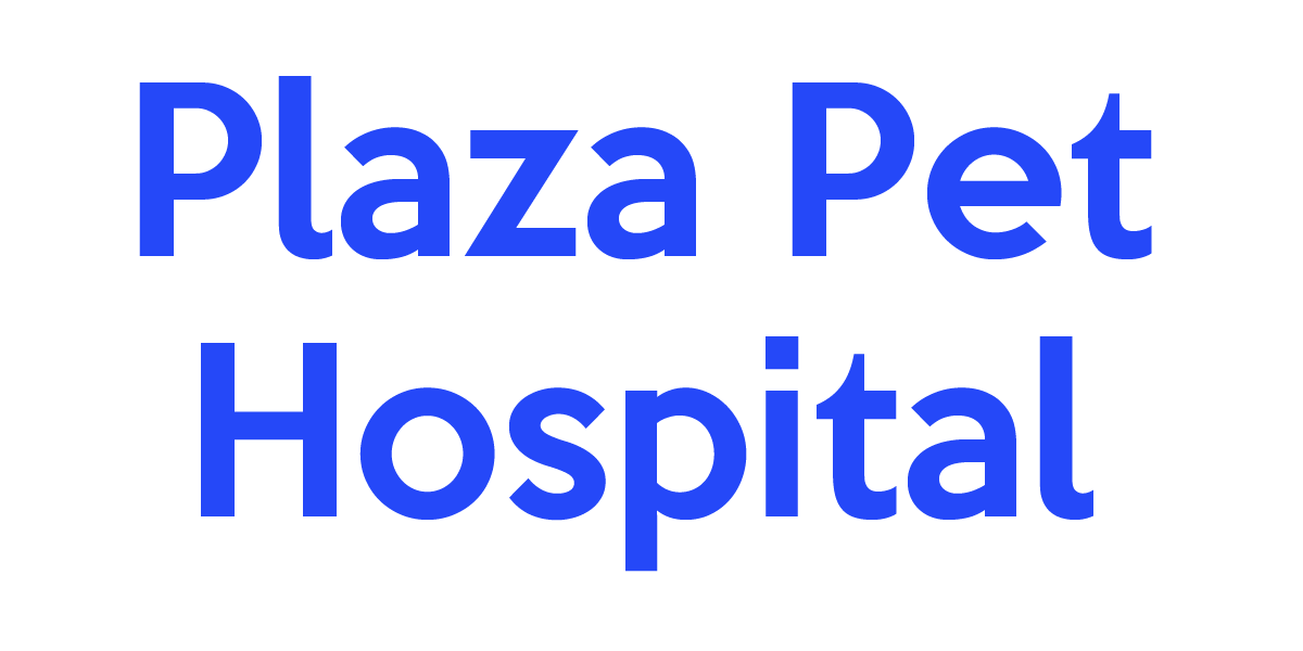 Plaza pet Hospital LF