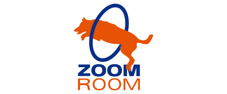 Zoom Room HB