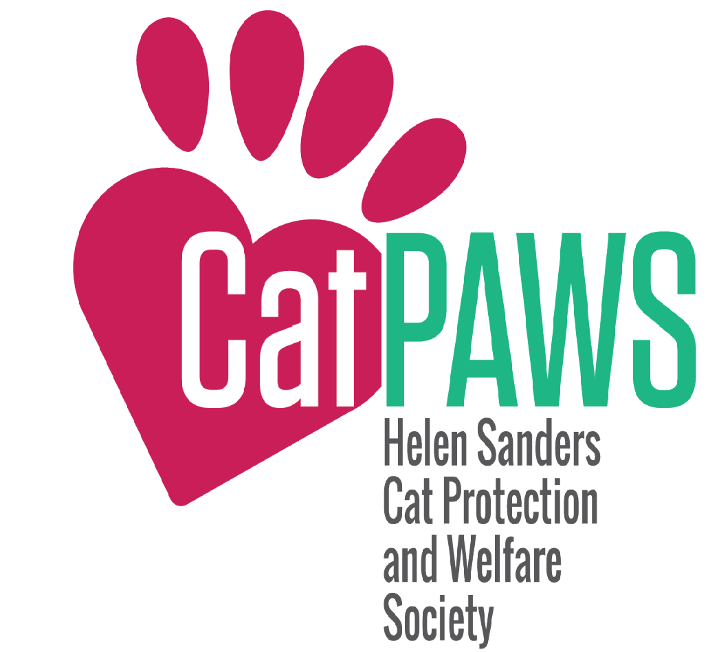 Cat Paws